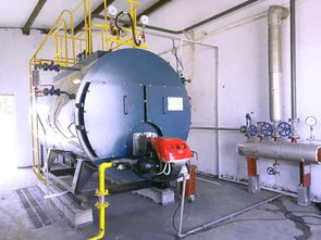 8噸燃?xì)忮仩t運(yùn)行費(fèi)用計(jì)算及報價分析